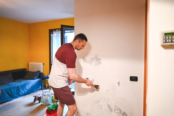 Best Mold Cleaning Services  in Eminence, KY